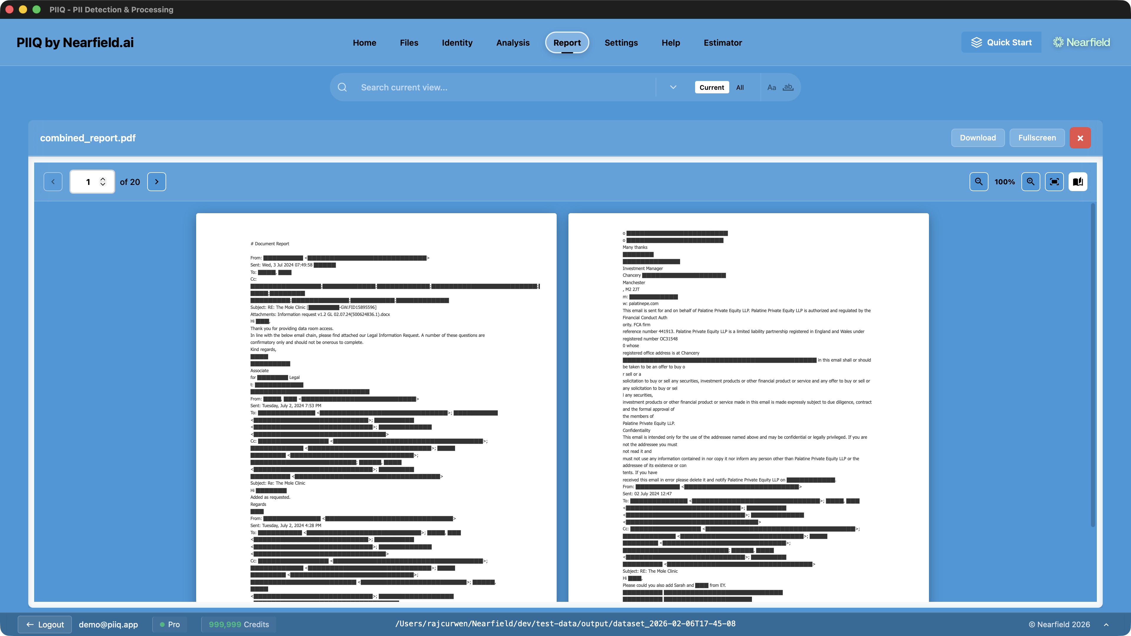 PDF with redacted PII and report view